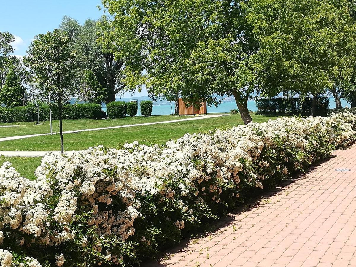 Zamardi Siraly Apartment Екстериор снимка